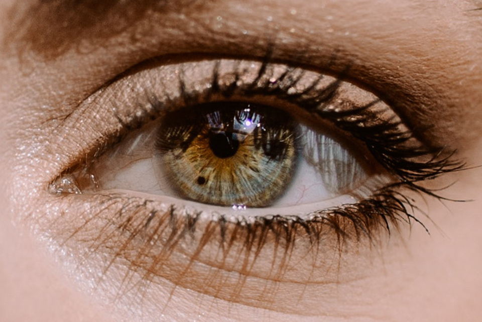 眼：用目光捕捉睡眠与色彩的奥秘